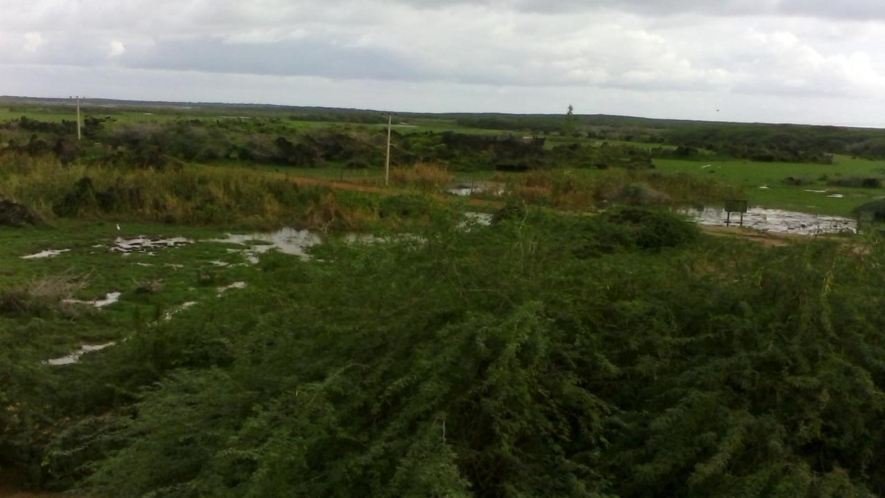Weligatta Hotel Bundala Park מראה חיצוני תמונה